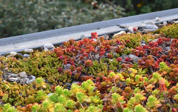the cost of Mastrick green roof installation