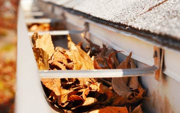 Mastrick gutter cleaning companies