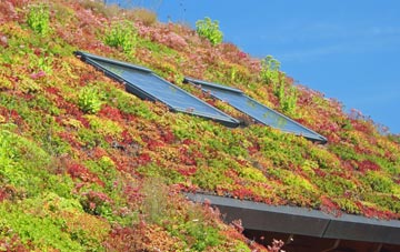 Mastrick living roof systems