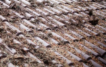 Mastrick roof cleaning companies